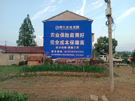 务川墙体广告为何受追捧？